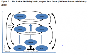 student wellbeing model