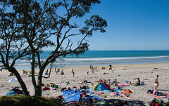 Picnic at Maketu Beach