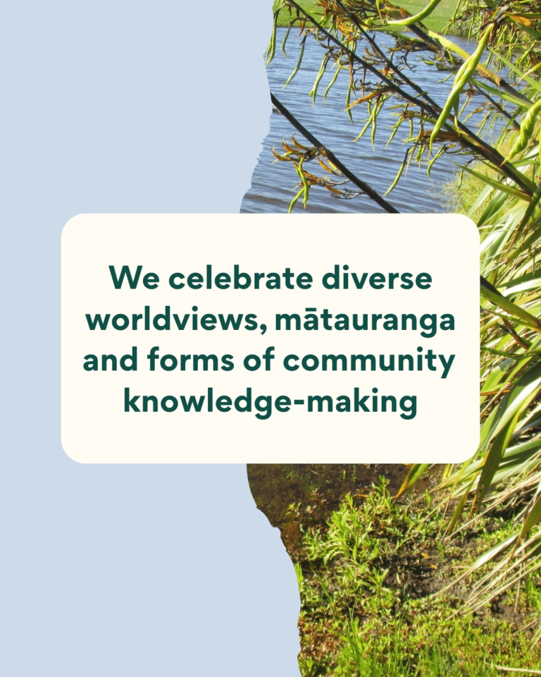 We celebrate diverse worldviews, mātauranga and forms of community knowledge-making