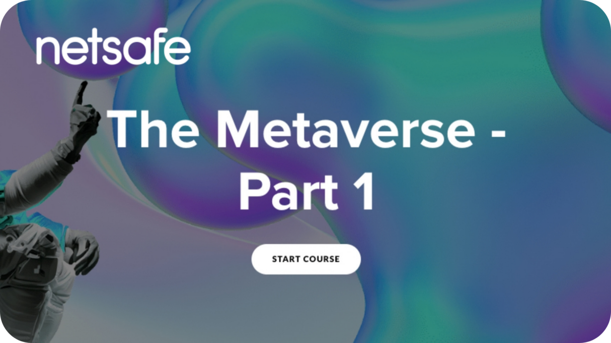 Netsafe - The Metaverse Part 1