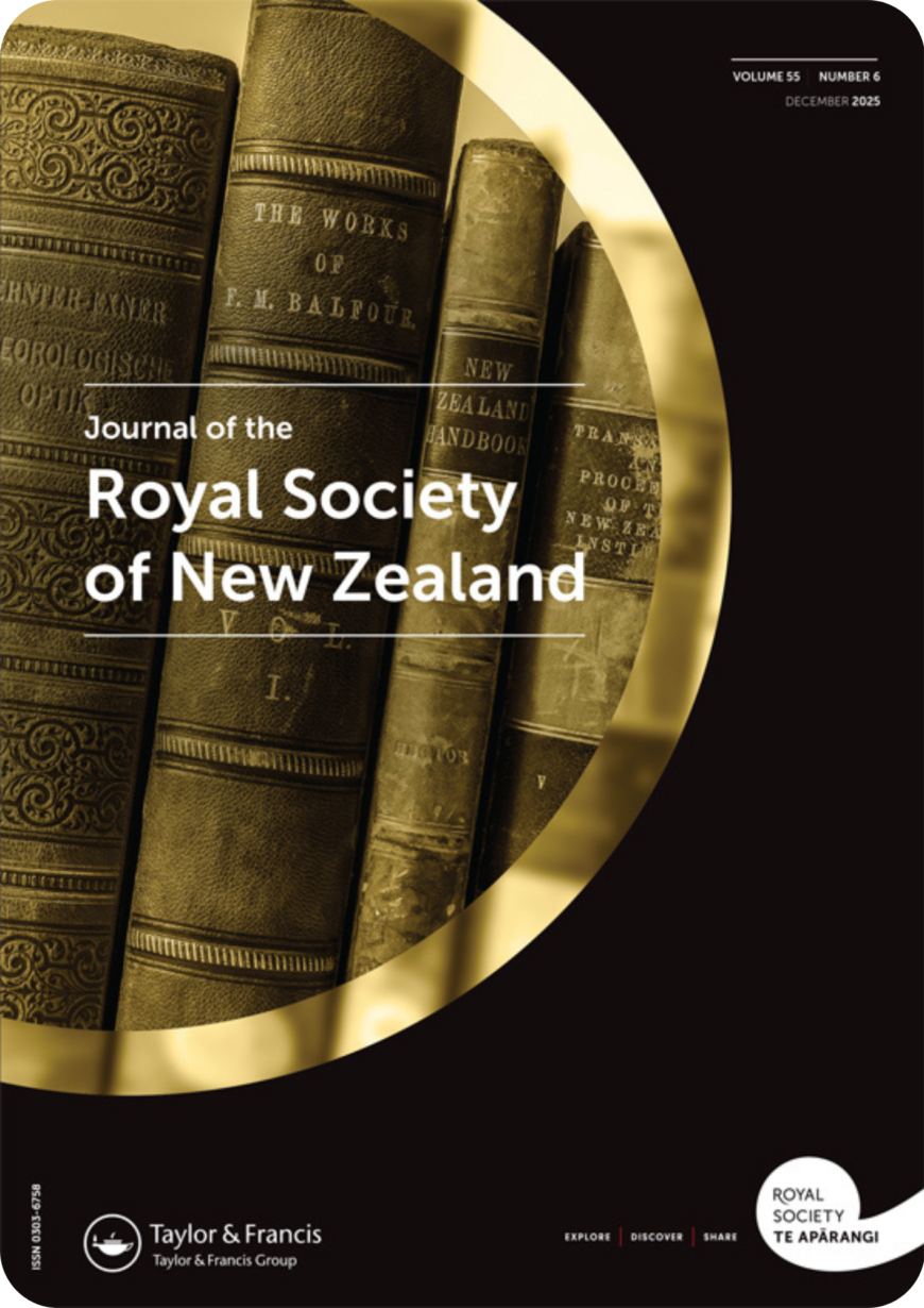 Exploring Digital Vā: A Scoping Review of Conceptualisations of Vā in Digital Spaces